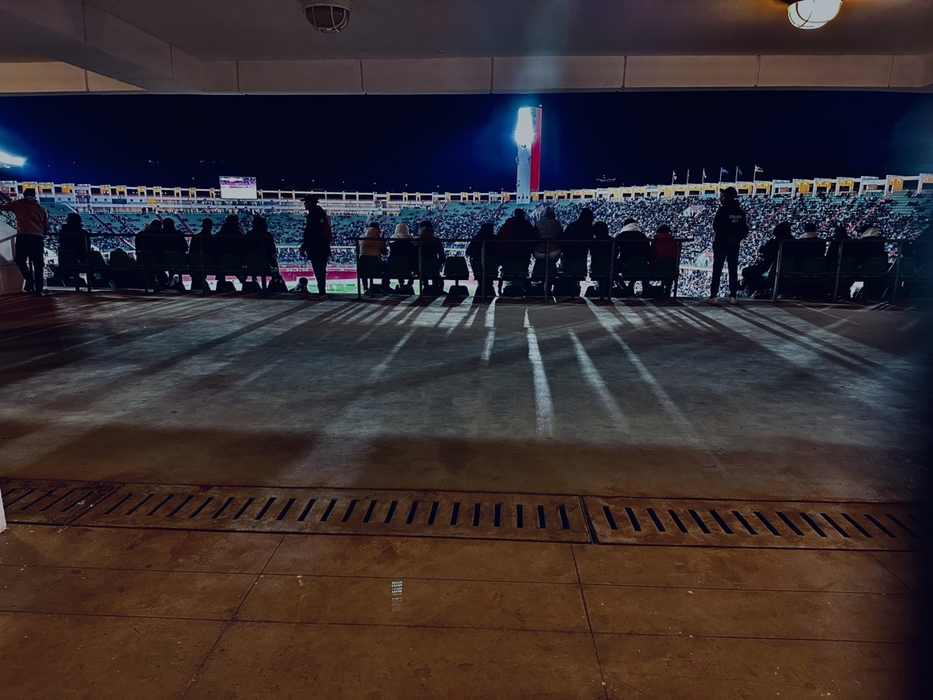 Supporters inside a stadium